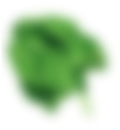 h11-slider11.png