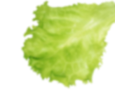 h11-slider4.png