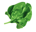 h11-slider9.png