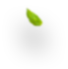 H3 leaf 1
