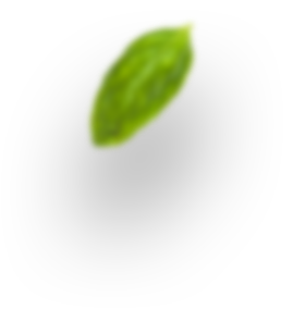 H3 leaf 3
