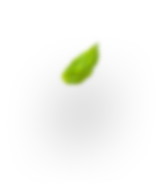 H4 leaf 2