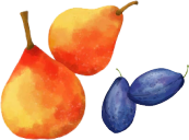 H12 banner icon4