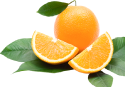 H14 banner icon2